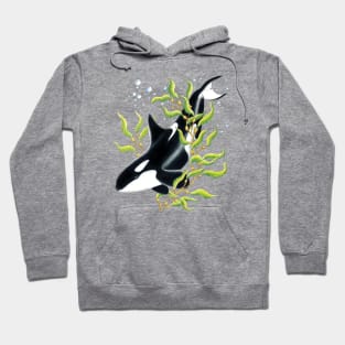 Orca Whale in Kelp forest Ink drawing Hoodie